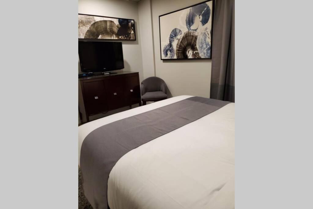 Cozy Sweet Studio #4, Only 10 Min To D.T. Ottawa Gatineau Bagian luar foto